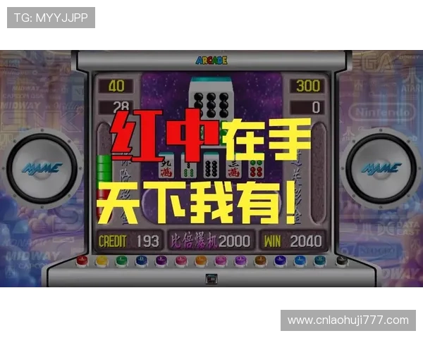 最新老虎机单机游戏手机版推荐，丰富多样的游戏玩法等你来挑战