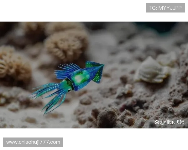 深海动物的发光机制：深海生物如何利用发光进行交流与捕食