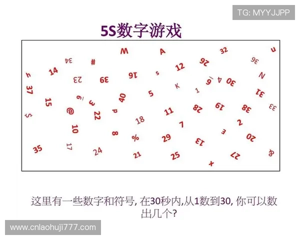 数字老虎机1到6玩法详解，轻松掌握每个数字的中奖技巧