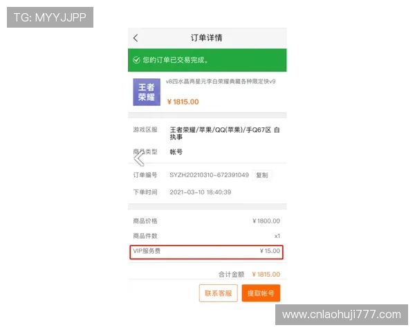 九五至尊电子游戏官方地址官方平台网址，提供全天候客服支持与技术保障
